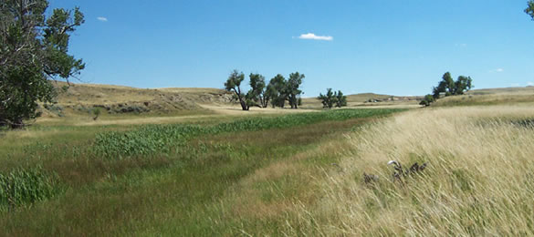 Thunder Basin National Grassland