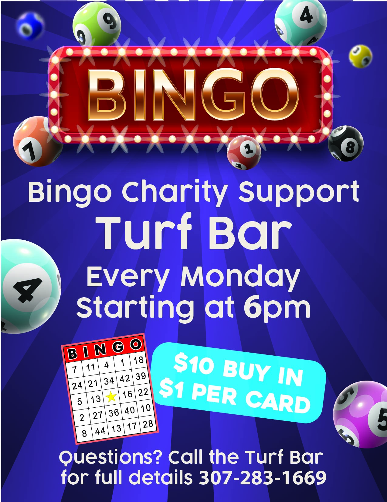 Turf Bingo Low resolution