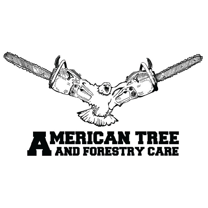 American Tree and Forestry Care